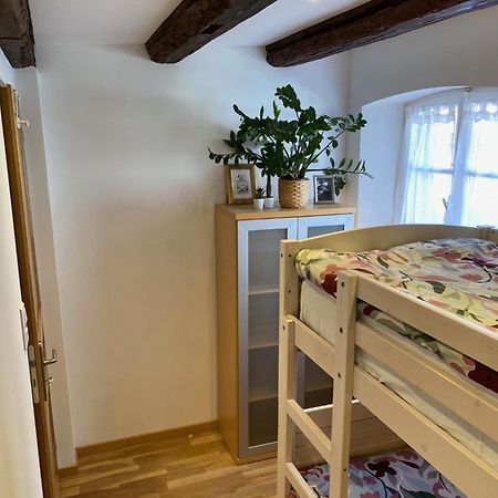 Appartamento Le 128, Duplex Alsacien 10 Personnes, Piscine Horbourg Esterno foto