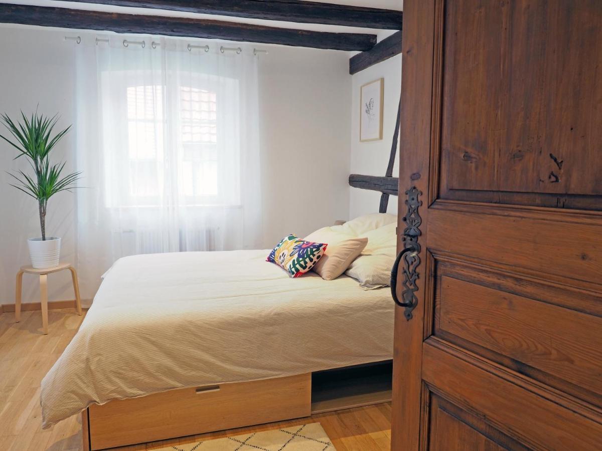 Appartamento Le 128, Duplex Alsacien 10 Personnes, Piscine Horbourg Esterno foto