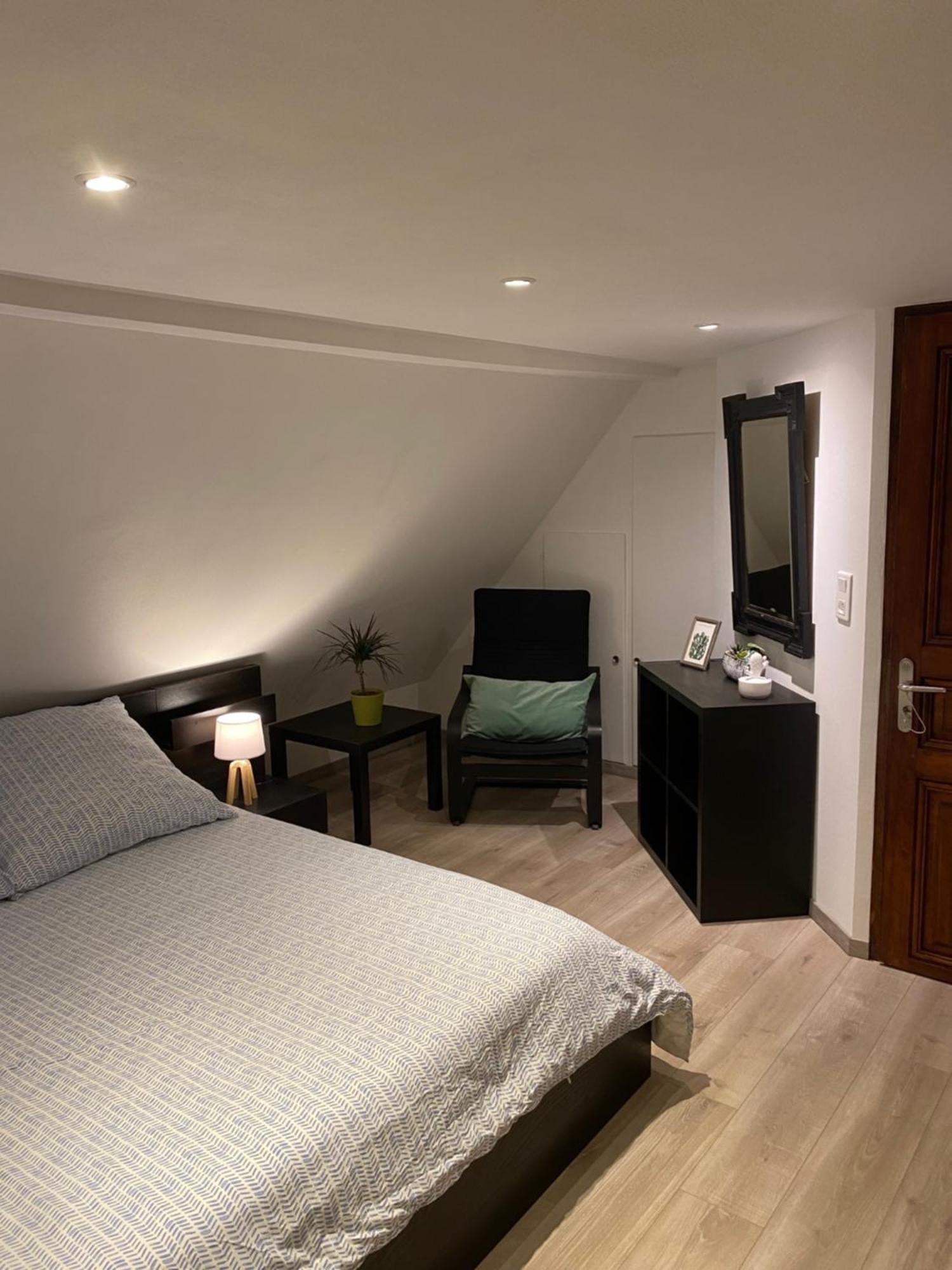Appartamento Le 128, Duplex Alsacien 10 Personnes, Piscine Horbourg Esterno foto